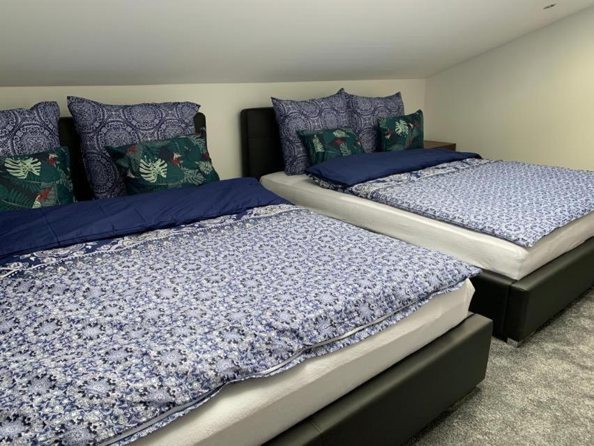 Look Of Dreams - Apartamenty Sloneczny I Ksiezycowy Będzin 외부 사진